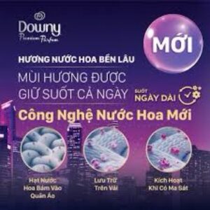 Nước Xả Vải Downy Hương Đam Mê 2.2L