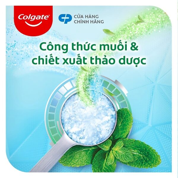 Kem Đánh Răng Colgate Muối Thảo Dược