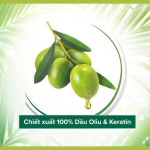 Dầu gội và xả Palmolive Thiên Nhiên Suôn Mượt Óng Ả Chiết Xuất Dầu Olive & Keratin