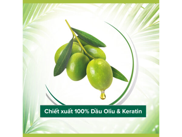 Dầu gội và xả Palmolive Thiên Nhiên Suôn Mượt Óng Ả Chiết Xuất Dầu Olive & Keratin