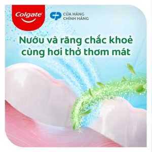 Kem Đánh Răng Colgate Muối Thảo Dược