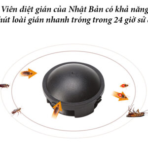 Viên diệt gián Black Cap hộp 12 viên