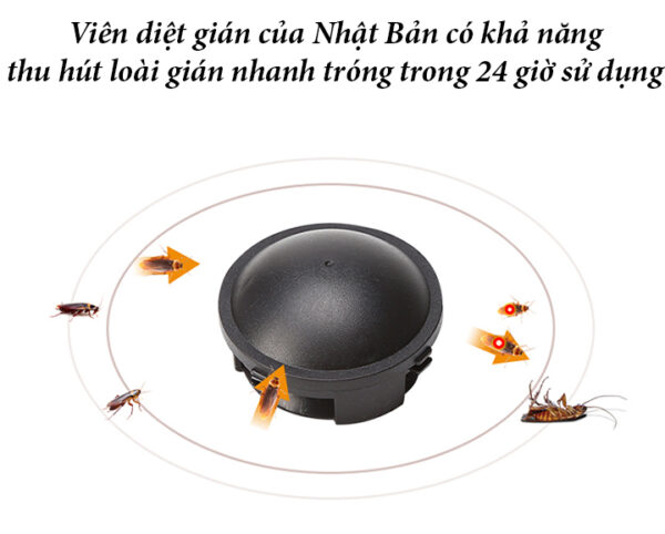 Viên diệt gián Black Cap hộp 12 viên