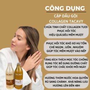 Dầu Gội Tacavy 1000ML Giảm Gãy Rụng Phục Hồi Tóc Hư Tổn Khô Xơ