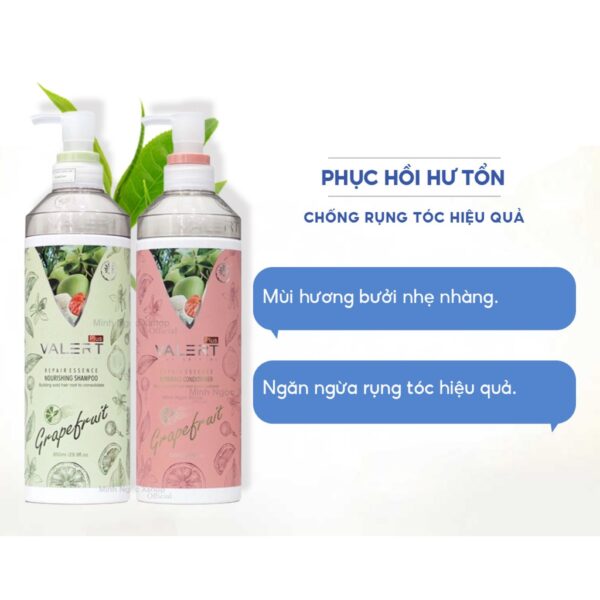 Dầu Gội Bưởi Grapefruit Valert 850ML Giảm Rụng Tóc Kích Mọc Tóc Phục Hồi Hư Tổn