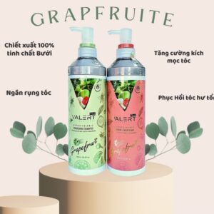 Dầu Gội Bưởi Grapefruit Valert 850ML Giảm Rụng Tóc Kích Mọc Tóc Phục Hồi Hư Tổn