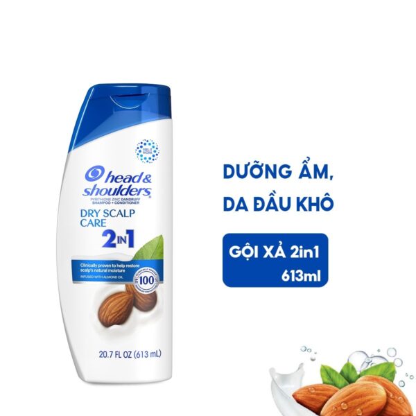 Dầu gội xả 2in1 Head & Shoulders Cho Tóc Khô Gãy 613ml